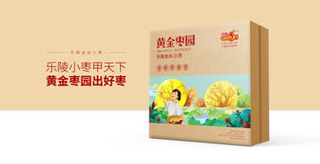 红枣食品包装策划设计